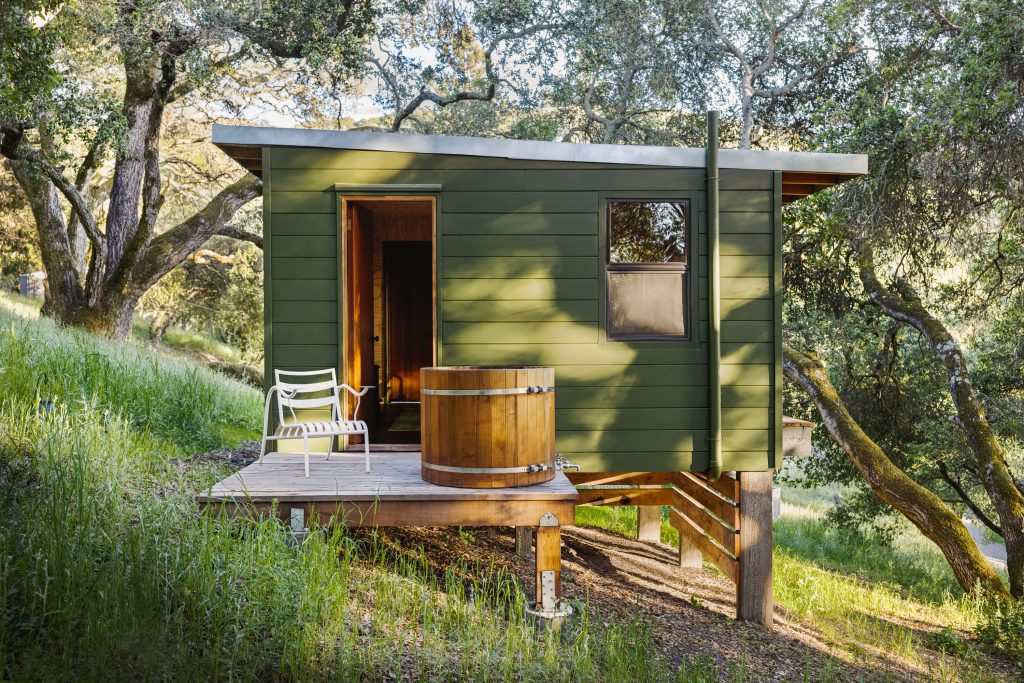 Small, sustainable cabin in the woods.